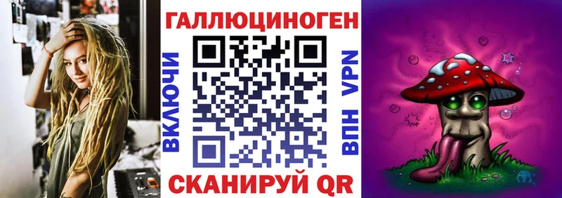 Купить закладки  Шагонар  Псилоцибиновые грибы Psilocybe 