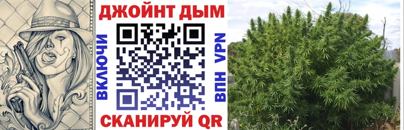 Каннабис планчик  Купить закладки  Шагонар 